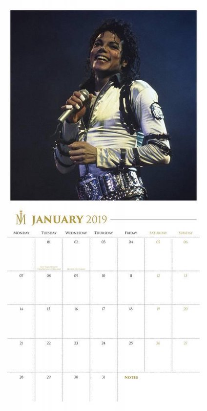 Michael Jackson Collectors Edition Kalender 2019 Record Sleeve Cover - Danilo