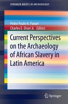 SpringerBriefs in Archaeology - Current Perspectives on the Archaeology of African Slavery in Latin America