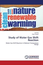 Study of Water Gas Shift Reaction