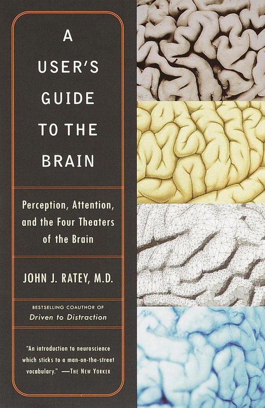 A User's Guide to the Brain - cover
