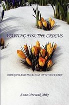 Waiting for the Crocus - Thoughts and Notations on My Backyard