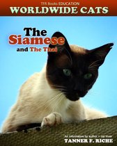 Worldwide Cats 1 - The Siamese