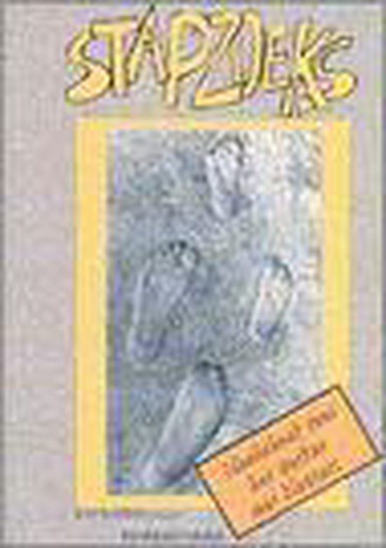 Stapzoeks - cover