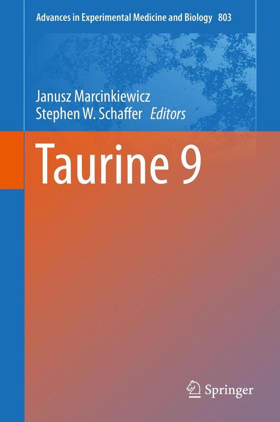 Springer Nature Proceedings excluding Computer Science - Tau ... - cover