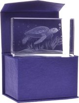 Glasblokje zeeschildpad