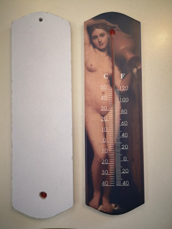 Houten Thermometer met afbeelding