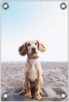 Tuinposter – Puppy op het Strand– 80x120cm Foto op Tuinposter (wanddecoratie voor buiten en binnen)