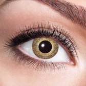 Witbaard Jaarlenzen Golden Sparkle 2 Stuks