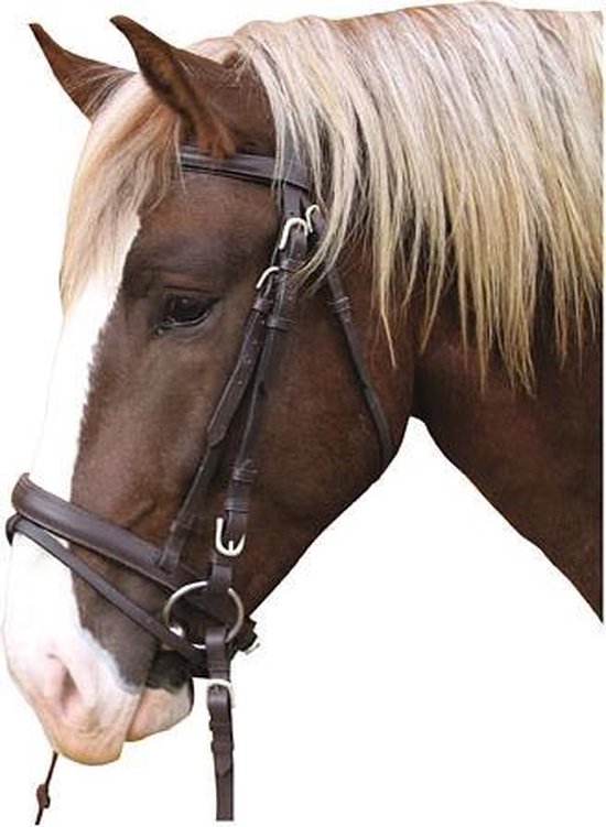 Bruin hoofdstel van leer op een bruin paard met een witte bles.