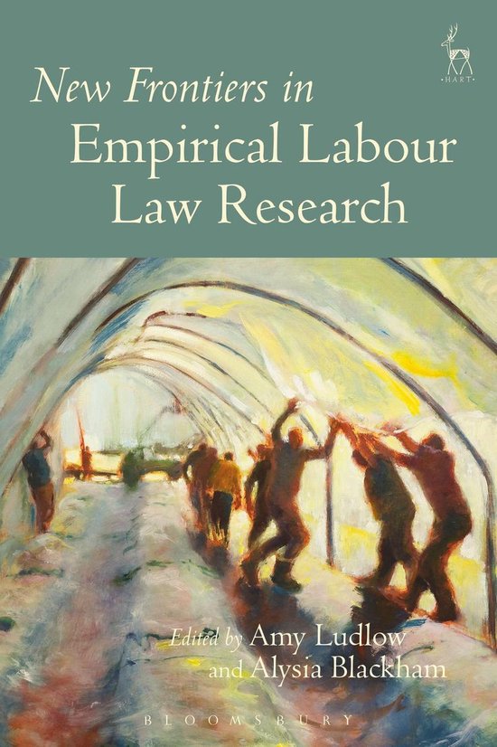 New Frontiers in Empirical Labour Law Research - cover