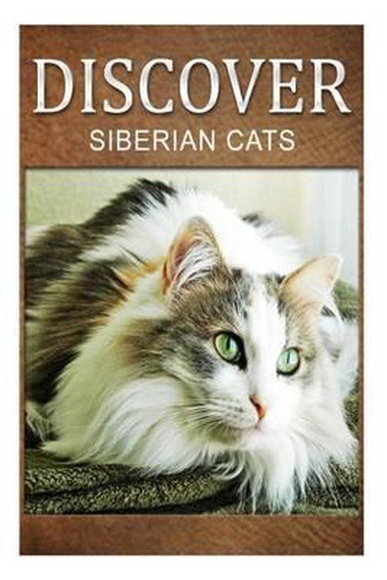 Siberian Cats - Discover - cover