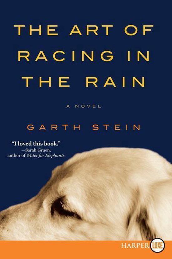 The Art of Racing in the Rain - cover