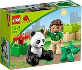LEGO Duplo Panda - 6173, gebruikt tweedehands  Nederland