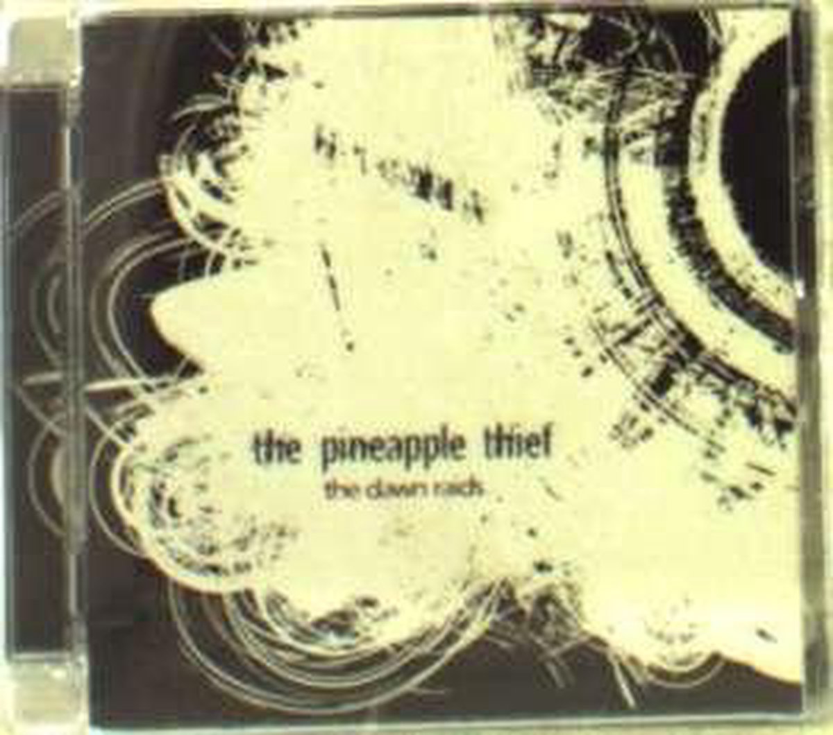 Pineapple Thief-dawn Raids Ep