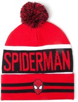 Spiderman - Big Spidey Logo Beanie
