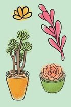 Succulents