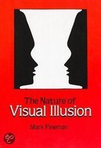 The Nature Of Visual Illusion