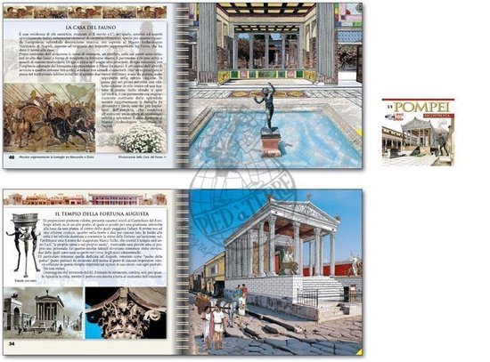 9788895512280 - Pompeji gereconstrueerd (Boek met DVD)