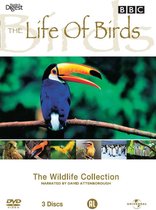 Bbc: The Life Of Birds (D)