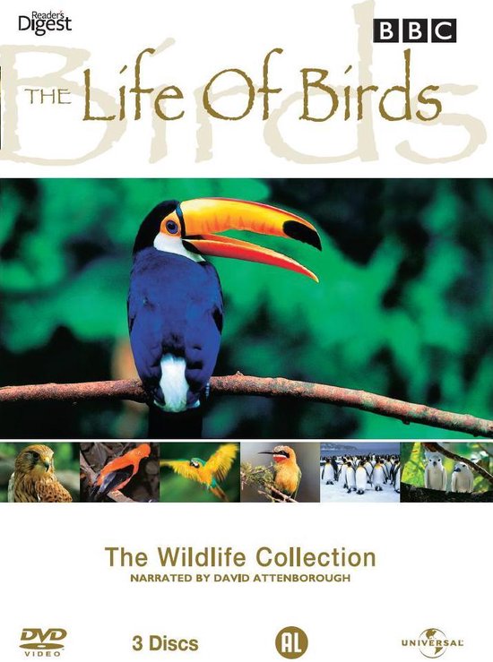 Cover van de film 'BBC: The Wildlife Collection - Life Of Birds'