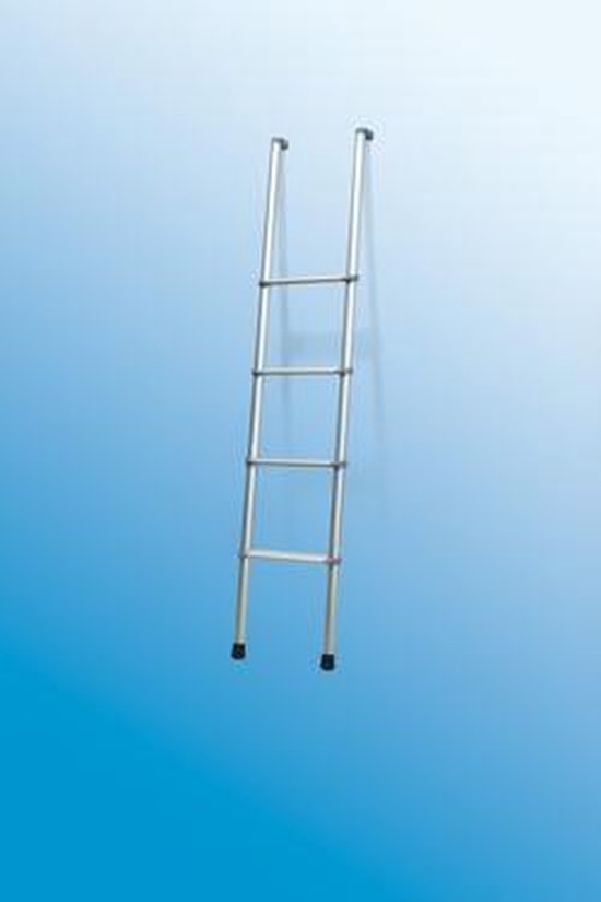 leven Associëren Fietstaxi Ladder Deluxe 4B | bol.com