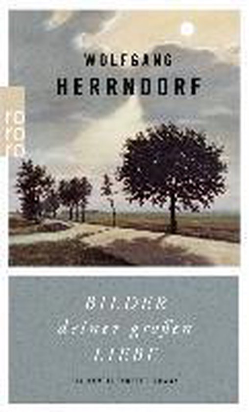 Boek "Bilder deiner großen Liebe" van Wolfgang Herrndorf met een landschap van bomen langs een weg.