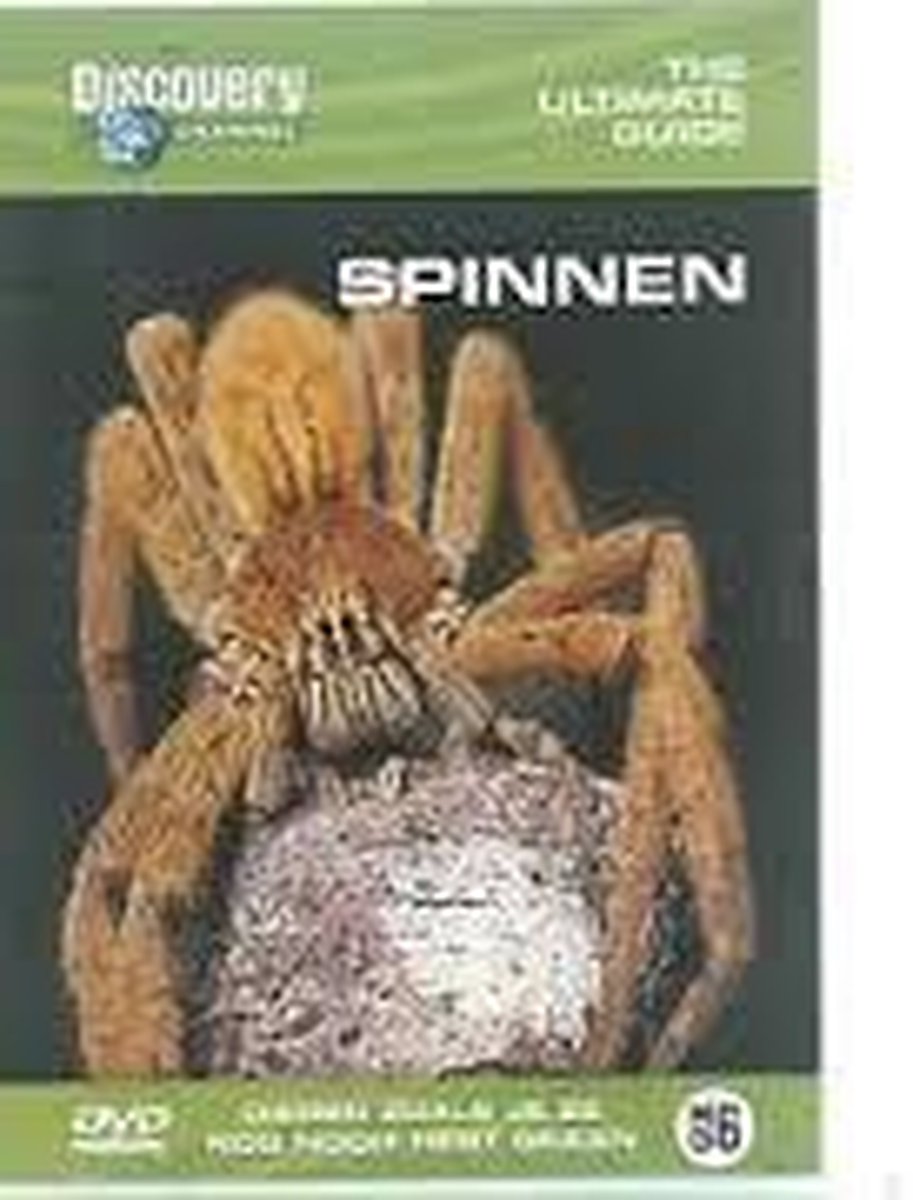 Spinnen