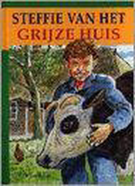 9789033625916 - Steffie van het grijze huis