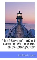 A Brief Survey of the Great Extent and Evil Tendencies of the Lottery System