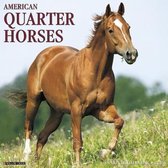 American Quarter Horses 2018 Wall Calendar