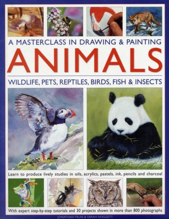 Masterclass In Drawing And Painting Animals