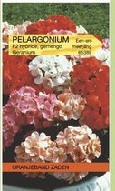 Oranjebandzaden -  Pelargonium, Geranium F2 gemengd