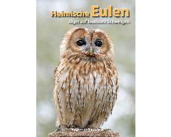 Heimische Eulen