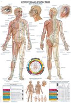 Het menselijk lichaam - anatomie poster acupunctuur en meridianen (Duits/Engels, kunststof-folie, 70x100 cm)