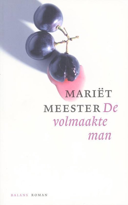 De Volmaakte Man - Mariët Meester | Northernlights300.org