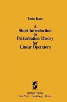 A Short Introduction to Perturbation Theory for Linear Operators