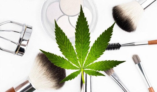 Applicazioni cosmetiche dei componenti della Cannabis sativa - cover