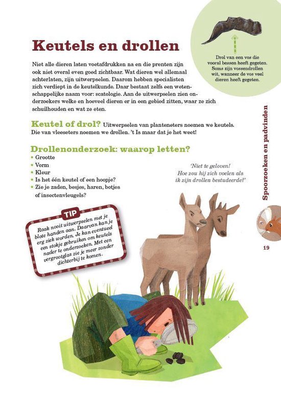Een kind met groene laarzen onderzoekt uitwerpselen, naast twee reeën in een veld.