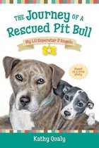 The Journey of a Rescued Pit Bull