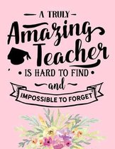 A Truly Amazing Teacher Is Hard To Find And Impossible