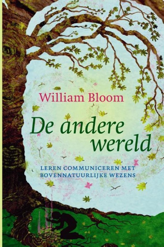 Cover van het boek 'De andere wereld'