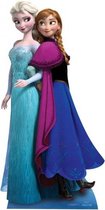 Groot decoratie bord Frozen Anna en Elsa