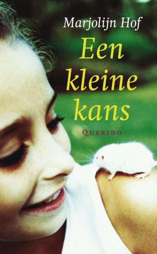 Een kleine kans - cover