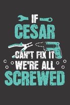 If CESAR Can't Fix It