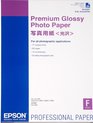 Epson Premium Glanzend Fotopapier - 25 vel / A2