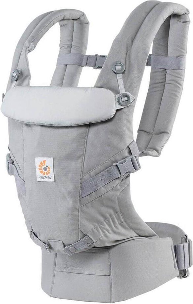 Ergobaby adapt frosted mint sale