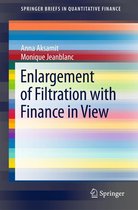 SpringerBriefs in Quantitative Finance - Enlargement of Filtration with Finance in View