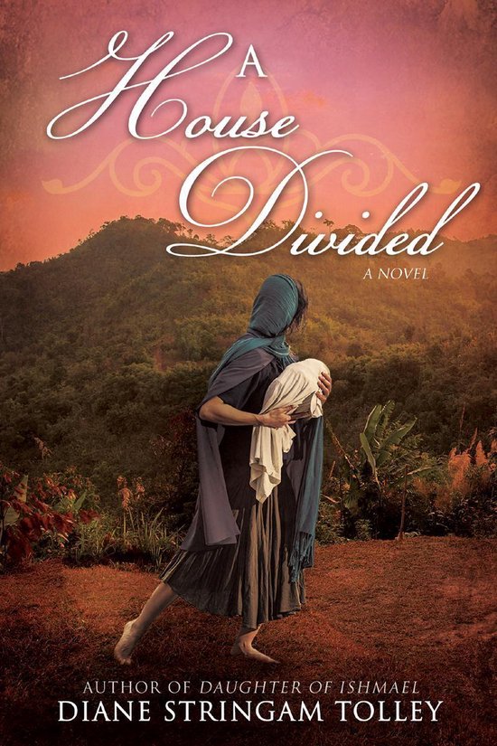 A House Divided: A Novel - cover