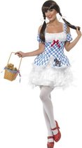 Lichtgevend Dorothy Wizard of OZ kostuum | Verkleedkleding maat S (36-38)