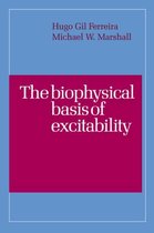 The Biophysical Basis of Excitability